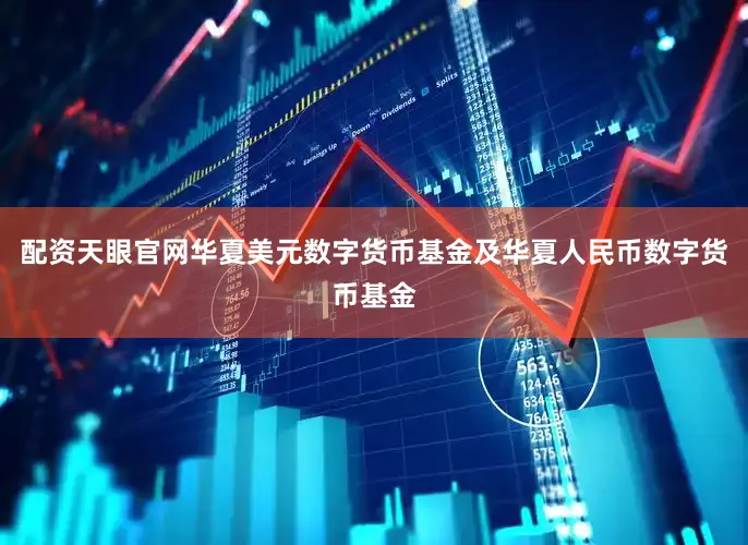 配资天眼官网华夏美元数字货币基金及华夏人民币数字货币基金