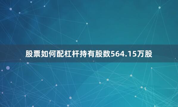股票如何配杠杆持有股数564.15万股