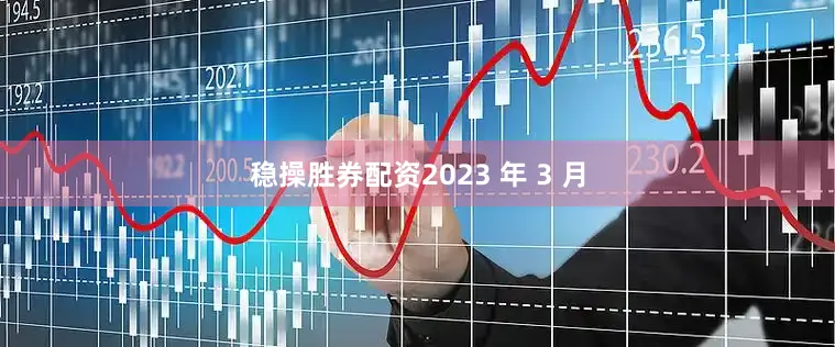 稳操胜券配资2023 年 3 月