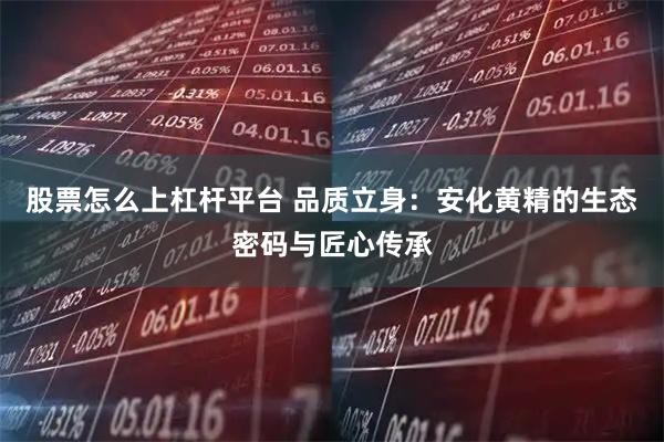股票怎么上杠杆平台 品质立身：安化黄精的生态密码与匠心传承