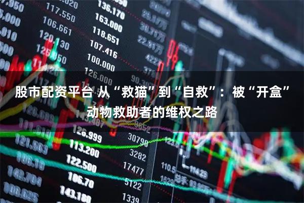 股市配资平台 从“救猫”到“自救”：被“开盒”动物救助者的维权之路